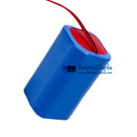 Bateria para PLC DT4052 [bateria de reposição]